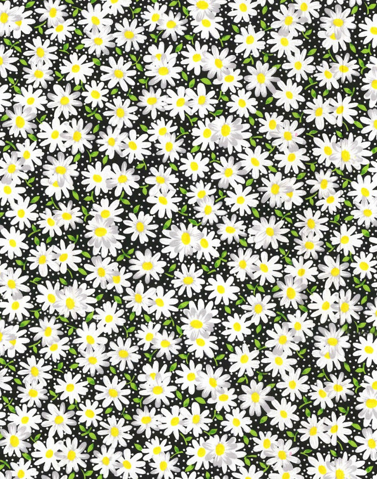 Daisies