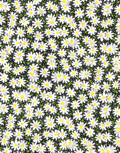 Daisies