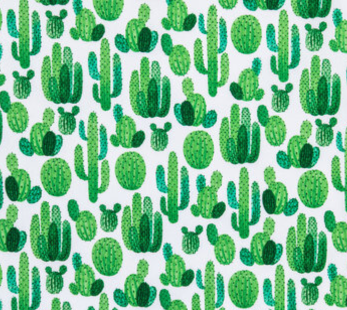 Large Cactus