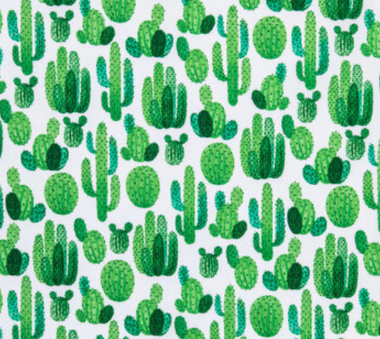 Large Cactus