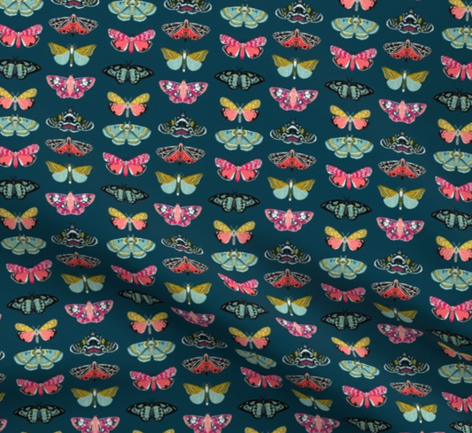 Colorful moths